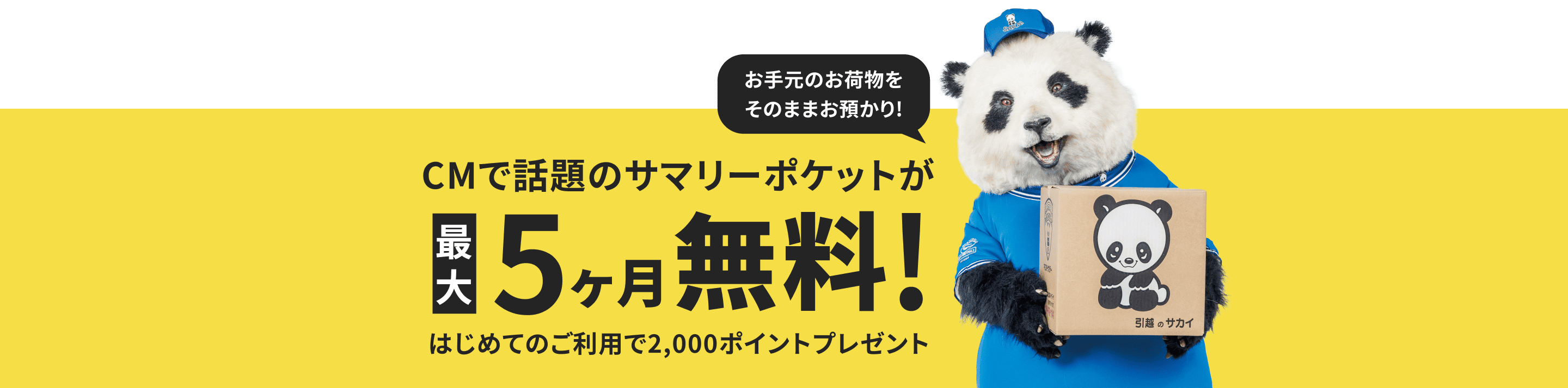 CMで話題のサマリーポケットが最大5ヶ月無料!はじめてのご利用で2,000ポイントプレゼント