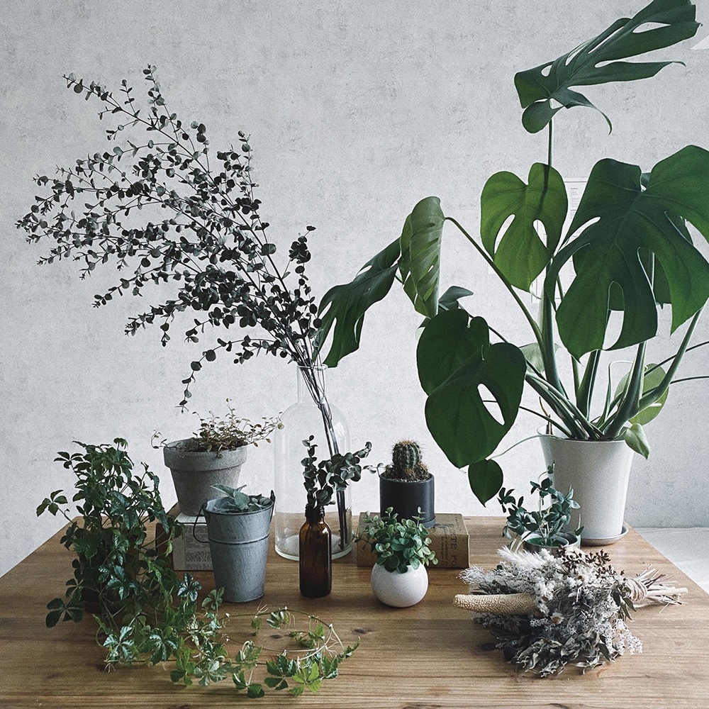 撮影するときは自然光にこだわる