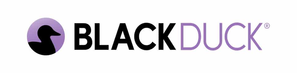 ブラック・ダック・ソフトウェア合同会社